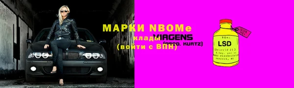 гашик Алексин