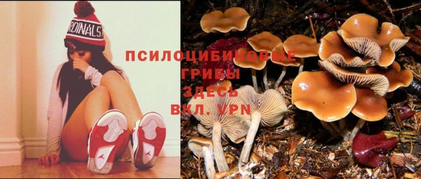 герыч Алзамай