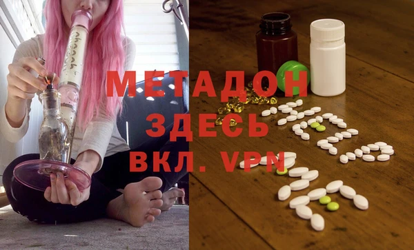 гашик Алексин