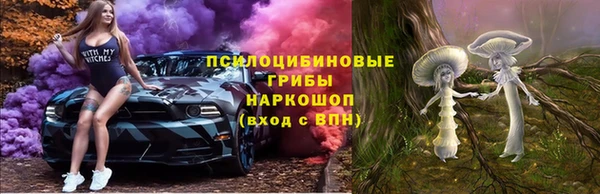 гашик Алексин