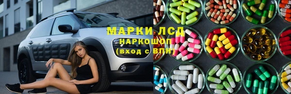 гашик Алексин
