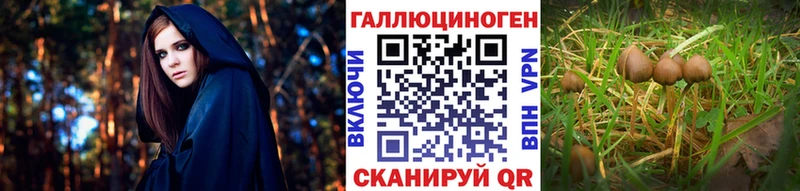 Галлюциногенные грибы мухоморы  наркошоп  Ивангород 